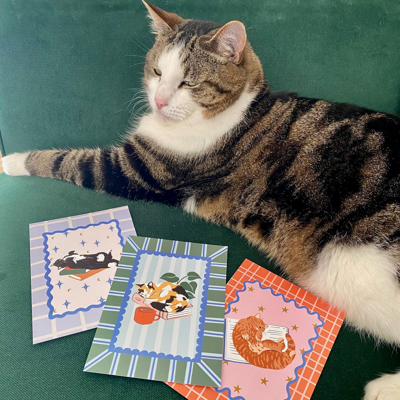 Cats and Books - 12 Postcard Set