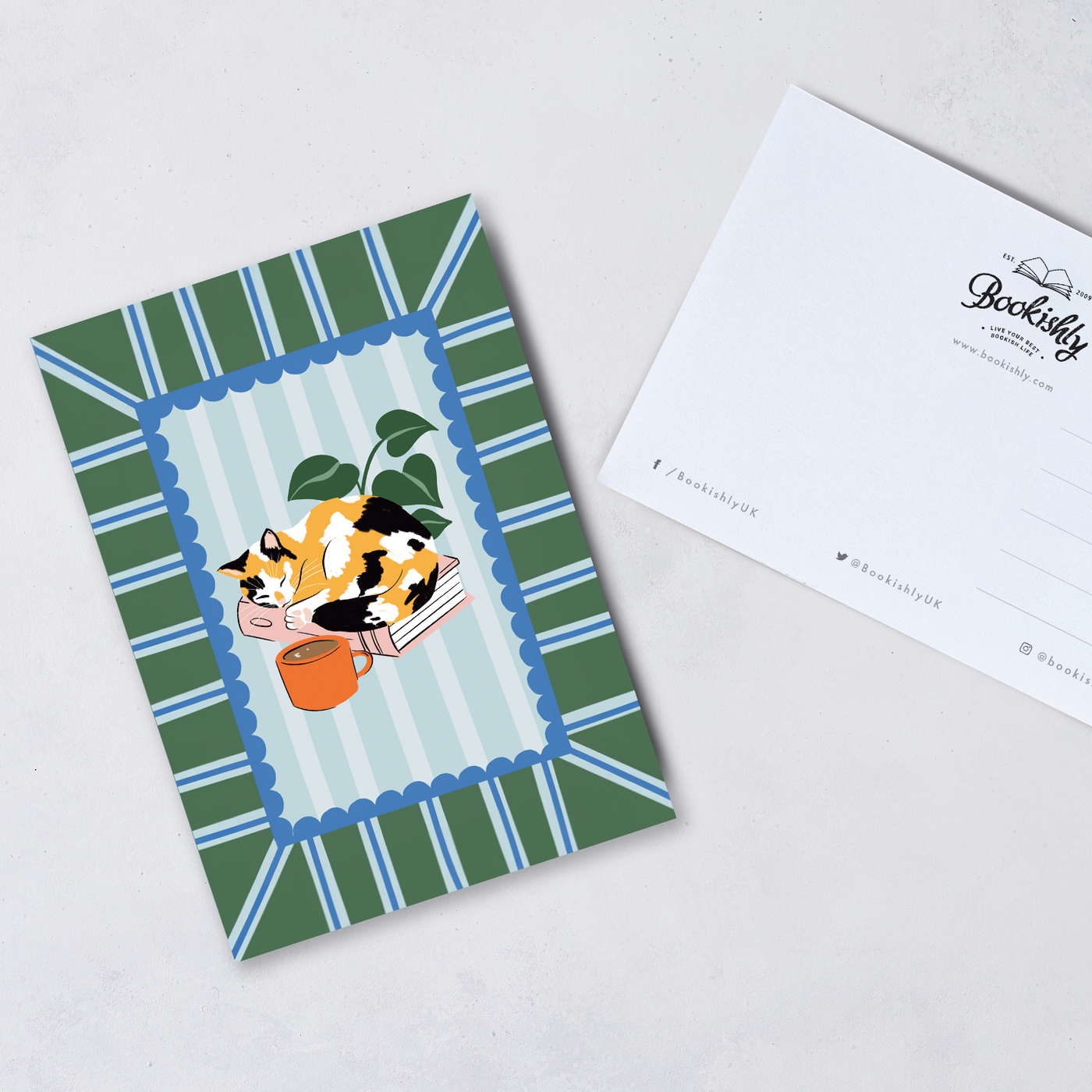 Cats and Books - 12 Postcard Set