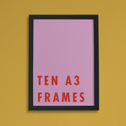 10 Narrow Moulding Frames A3