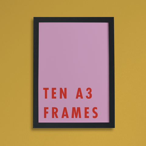 10 Narrow Moulding Frames A3
