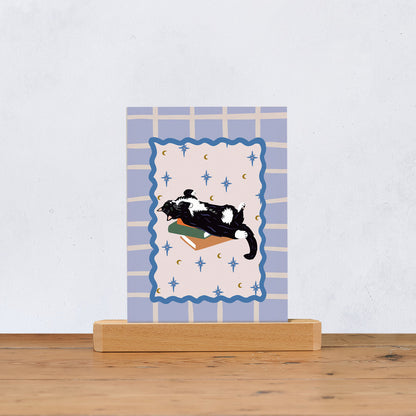 Cats and Books - 12 Postcard Set