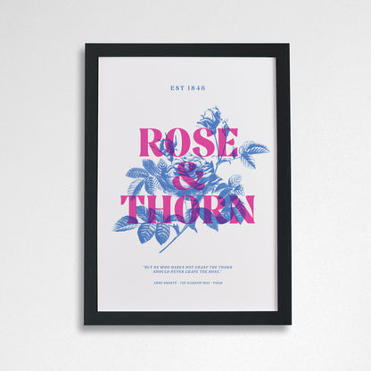 Pack of 2 - Rose and Thorn - A4 Art Print