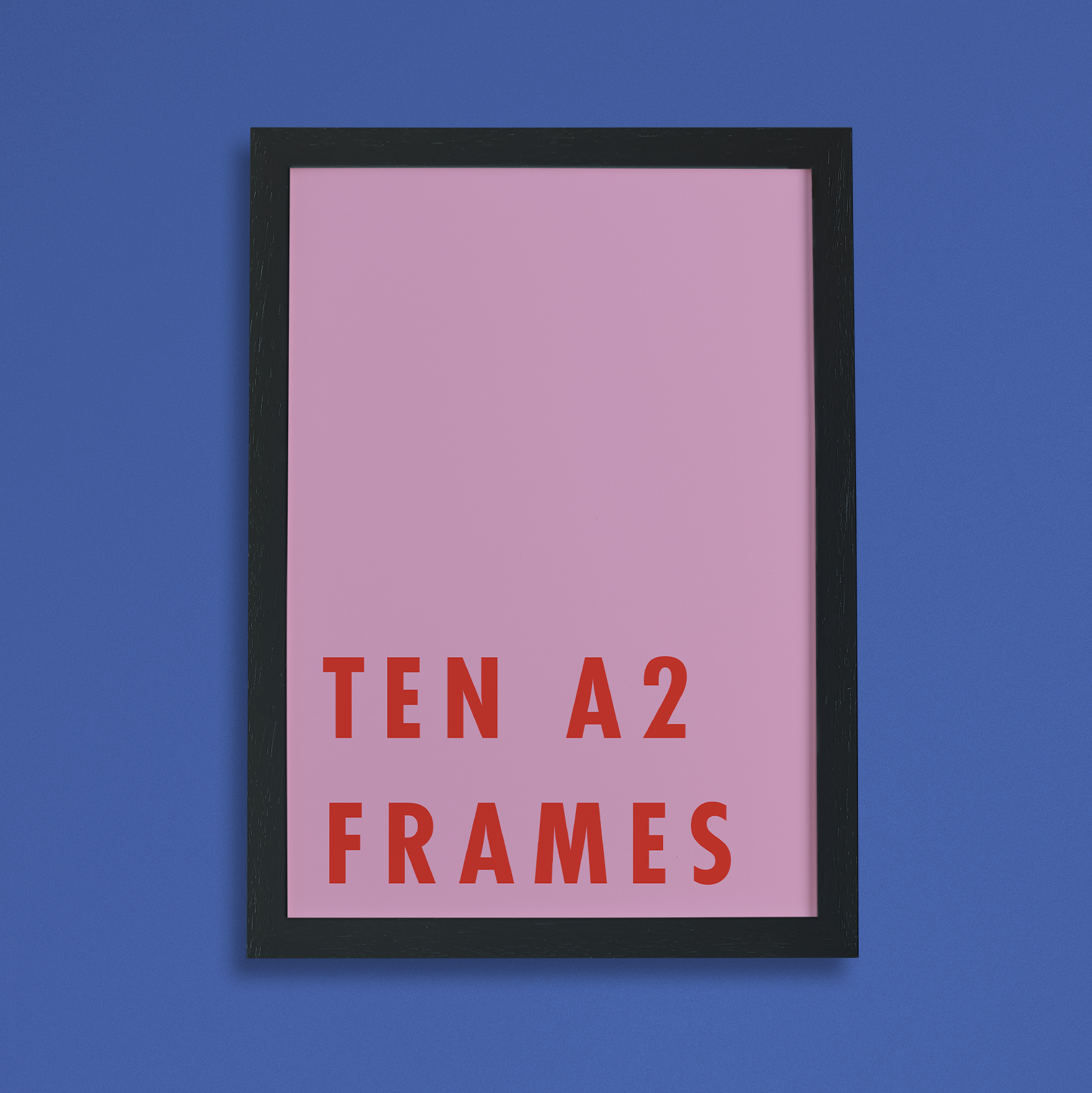 10 x A2 picture frames
