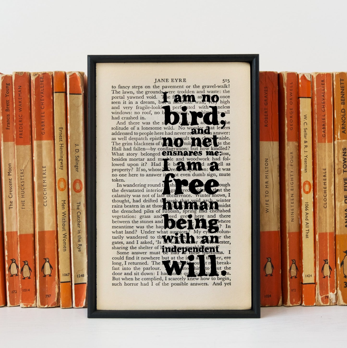 Jane Eyre "I Am No Bird " Book Page - BOOK 131